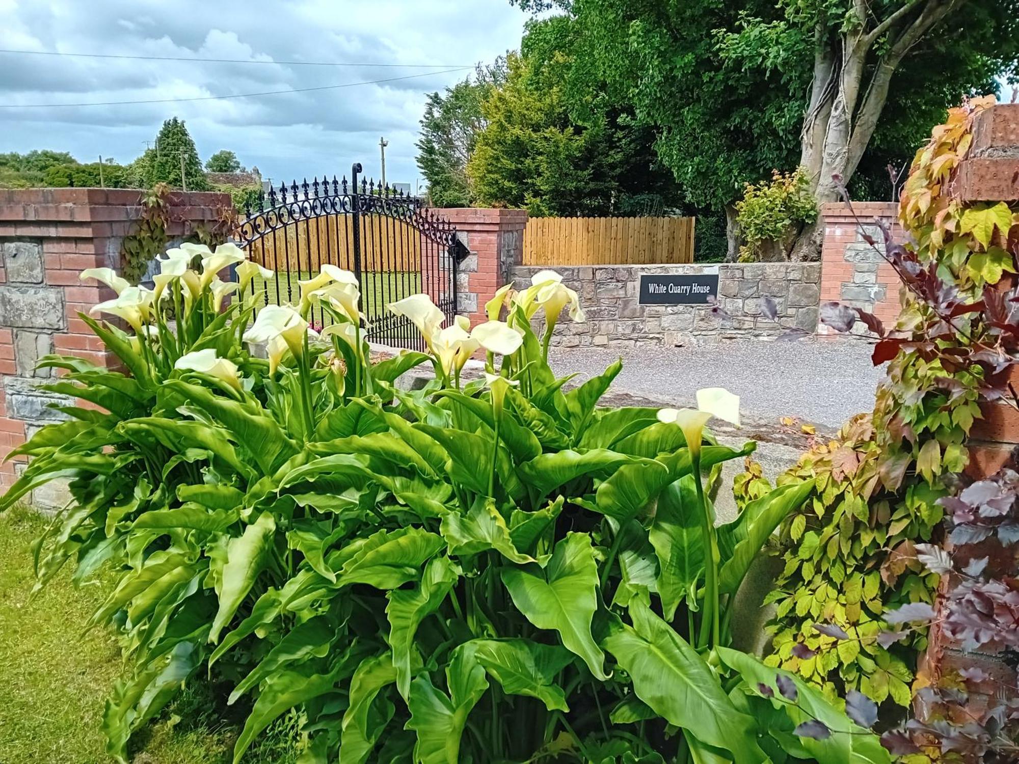 Hostal White Quarry Hse Quarry Road Navan Exterior foto